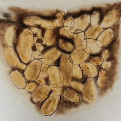 Kartoffeln im Erdreich