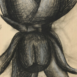 Pflanzen: Pflanzliches - Vergrößerung