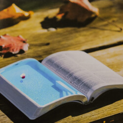 Digitale Fotomontage