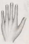 Hand
