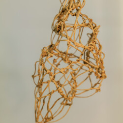 Metamorphose - Kokon in sämtlichen Stadien