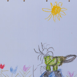 Kooperationsprojekte