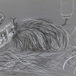 Tier: Meerschweinchen