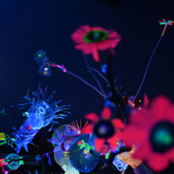 Ein Garten der besonderen Art