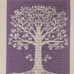 Tübinger Ansichten in Photographie und Siebdruck von 1864 bis 1994