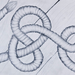 Sachzeichnen: Verknotetes Tau