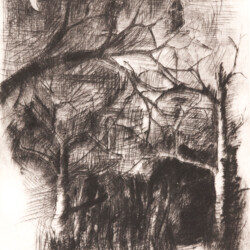 Textillustration - E. A. Poe