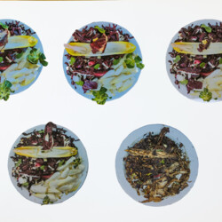 Bunter Salat nach Art des Hauses