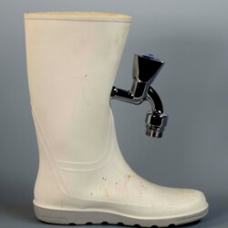 Felix`sauberer Schuh