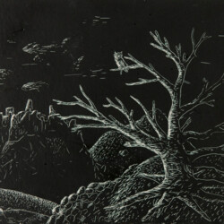 Landschaft bei Nacht