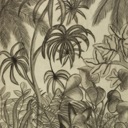 Pflanzen: Im Gewächshaus