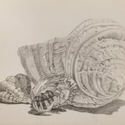 Naturfundstück – gefunden und geadelt