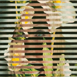 Streifen-Kombination von 2 Fotos