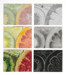 Bildnerische Etüden