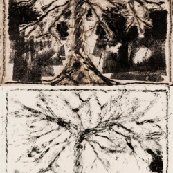 Baum: eingefärbter Druckstock und Druck