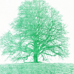 Tübinger Stadtfriedhof