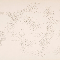 Pflanzliches: Löwenzahn