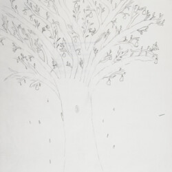 Pflanzliches: Baumtest nach Koch