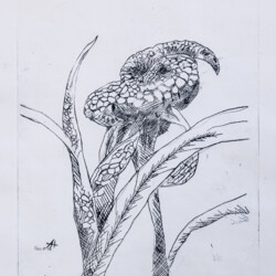 Zeitlose Kreaturen - KI kreiert Phantasietiere in der Natur