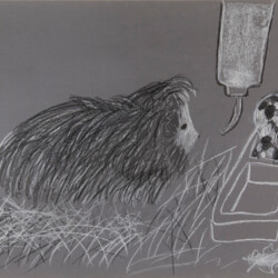 Tier: Meerschweinchen