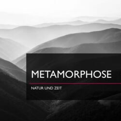 VIDEO Metamorphose