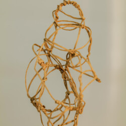 Metamorphose - Kokon in sämtlichen Stadien