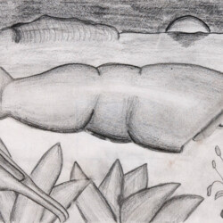 Landschaft:  Surrealistisches Strandgut