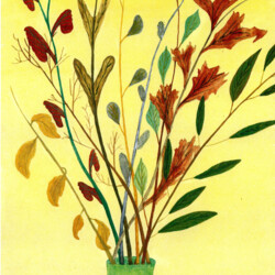 1953/54 E. Trützler 