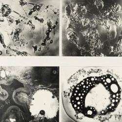 Fotogramm: Materialqualität durchsichtig - undurchsichtig