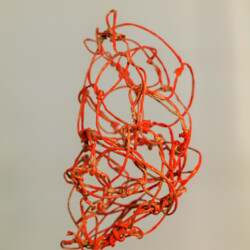 Metamorphose - Kokon in sämtlichen Stadien