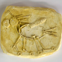 Weltraum-Schrott-Monster