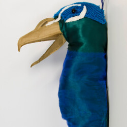 Tock, tock, tock   -   Vogelköpfe als Wandtrophäen