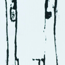 2011:  Bilder aus Holz