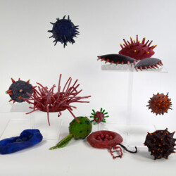 "Latex infiziert"   -   Mikroben