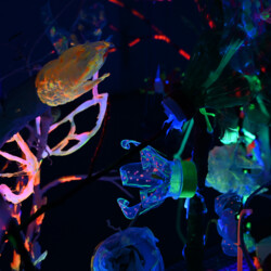 Ein Garten der besonderen Art