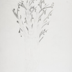 Pflanzliches: Baumtest nach Koch