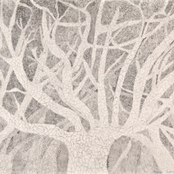 Pflanzliches: Geäst