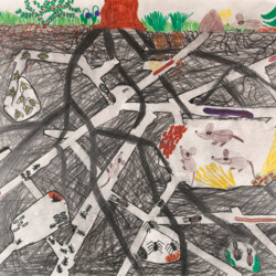 Querschnitt durch einen Waldboden