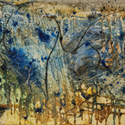 Spuren - Formsuche der Natur