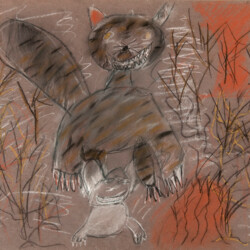 Tier: Katze auf der Pirsch